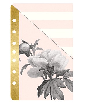 Franklin Covey Classic Blush Binder, Blush Florals 2018 Planner Inserts, and Accessories / Classic Style