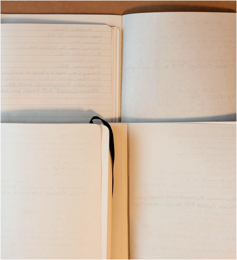 Reconsidering Moleskine